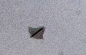 Unknown Object in Photograph